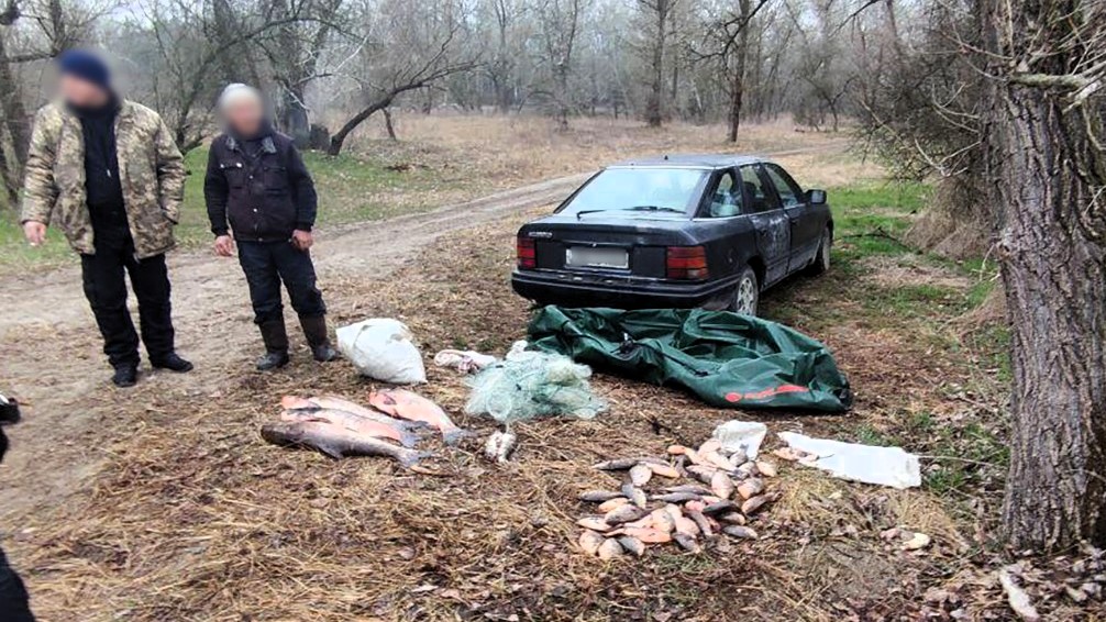 Зображення по темі: 