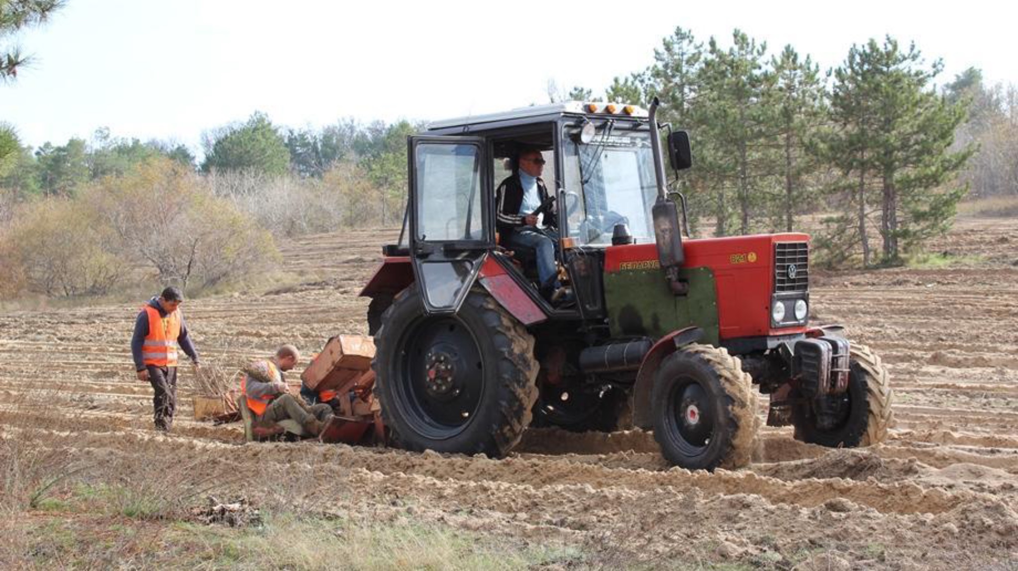 У Запорізькій області висаджують дерева