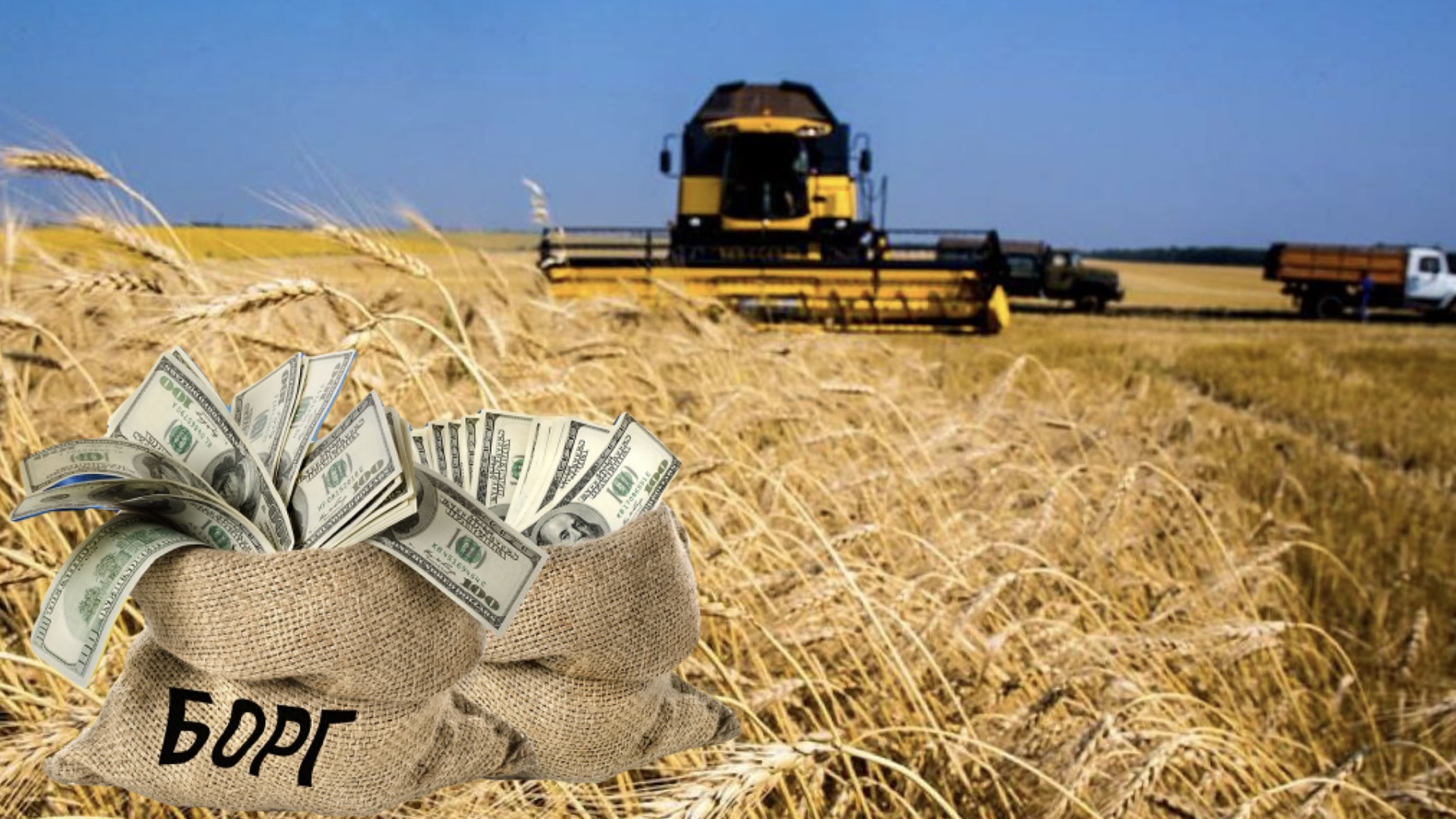 Натисни щоб дізнатись більше про: Окупаційний «державний зерновий оператор» заборгував запорізьким фермерам 1,2 мільярда рублів