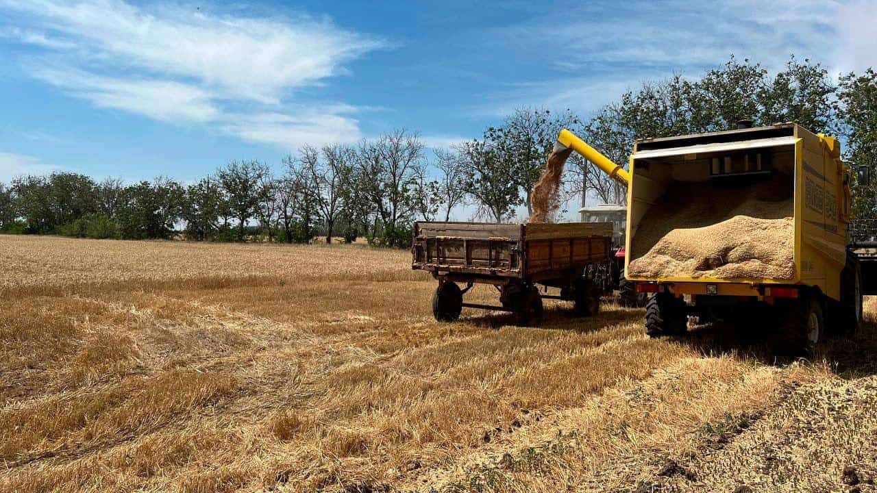 Натисни щоб дізнатись більше про: Окупанти збирають на Запоріжжі українське збіжжя