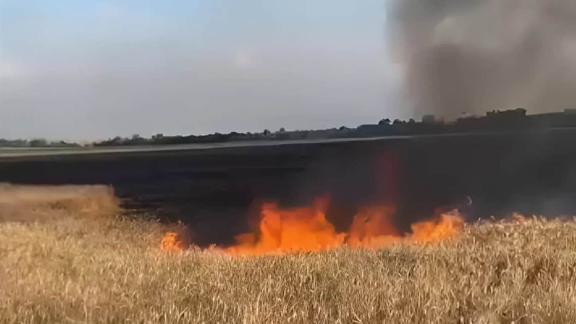 Натисни щоб дізнатись більше про: На Пологівщині внаслідок обстрілу рф згоріло 4 гектари пшениці