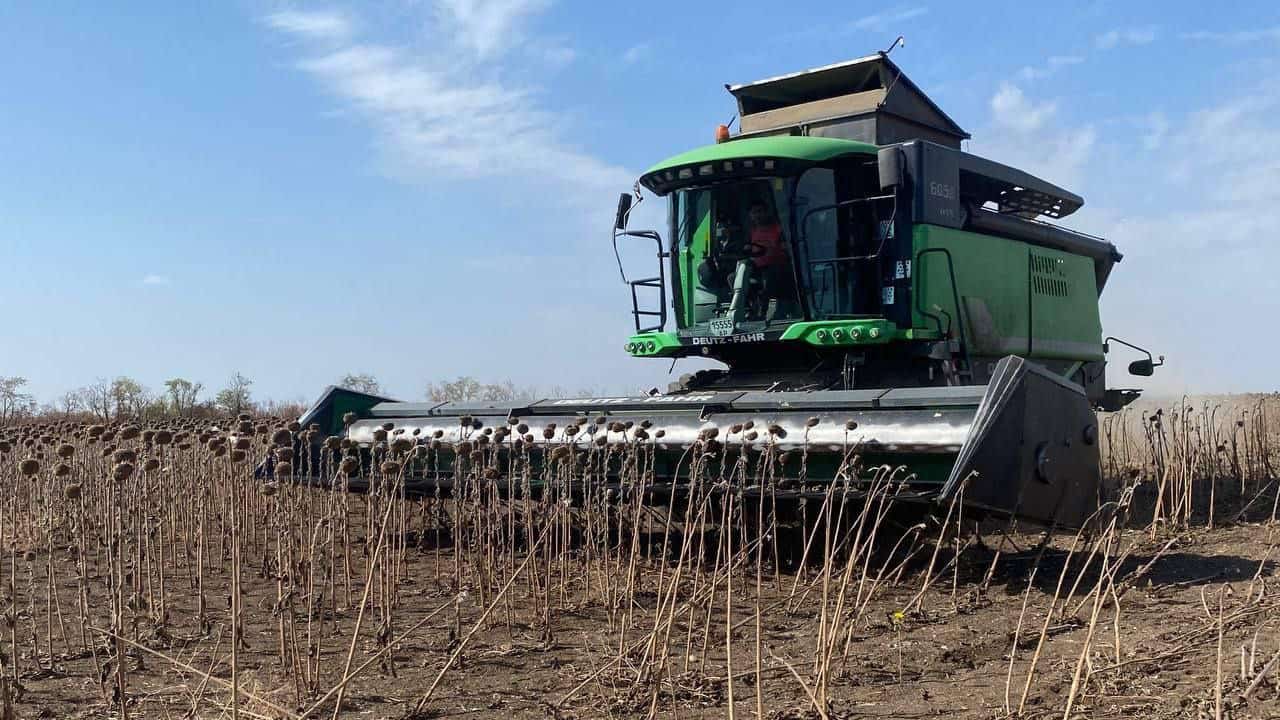 Окупанти вивозять урожай із Запорізької області: як це шкодить економіці України