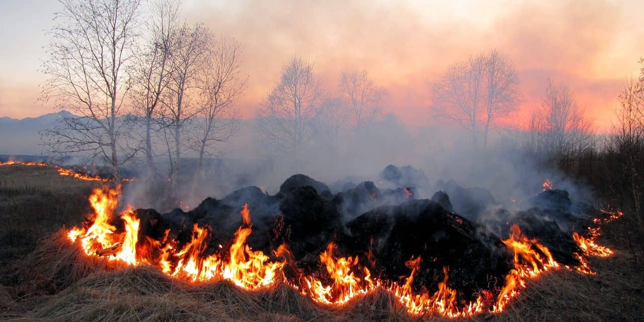 Натисни щоб дізнатись більше про: У Запорізькій області впродовж вересня зафіксовано 424 пожежі в екосистемах