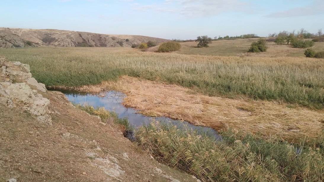 бердівське водосховище сучасний стан