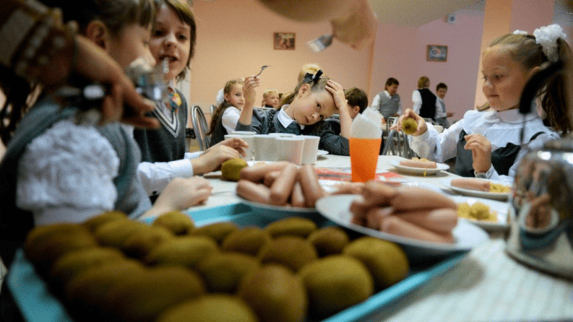 Дитяче харчування Субвенція Уряд Запоріжжя Область Школа