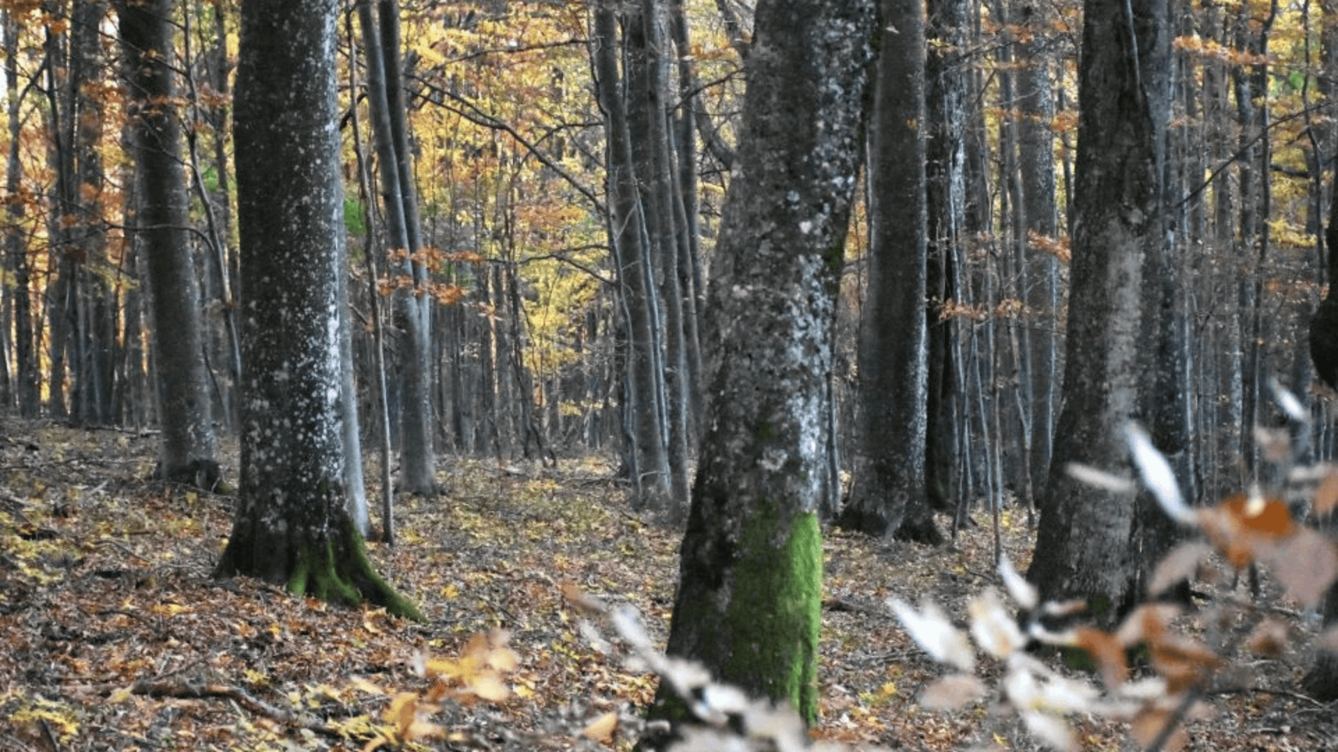 Зображення по темі: 
