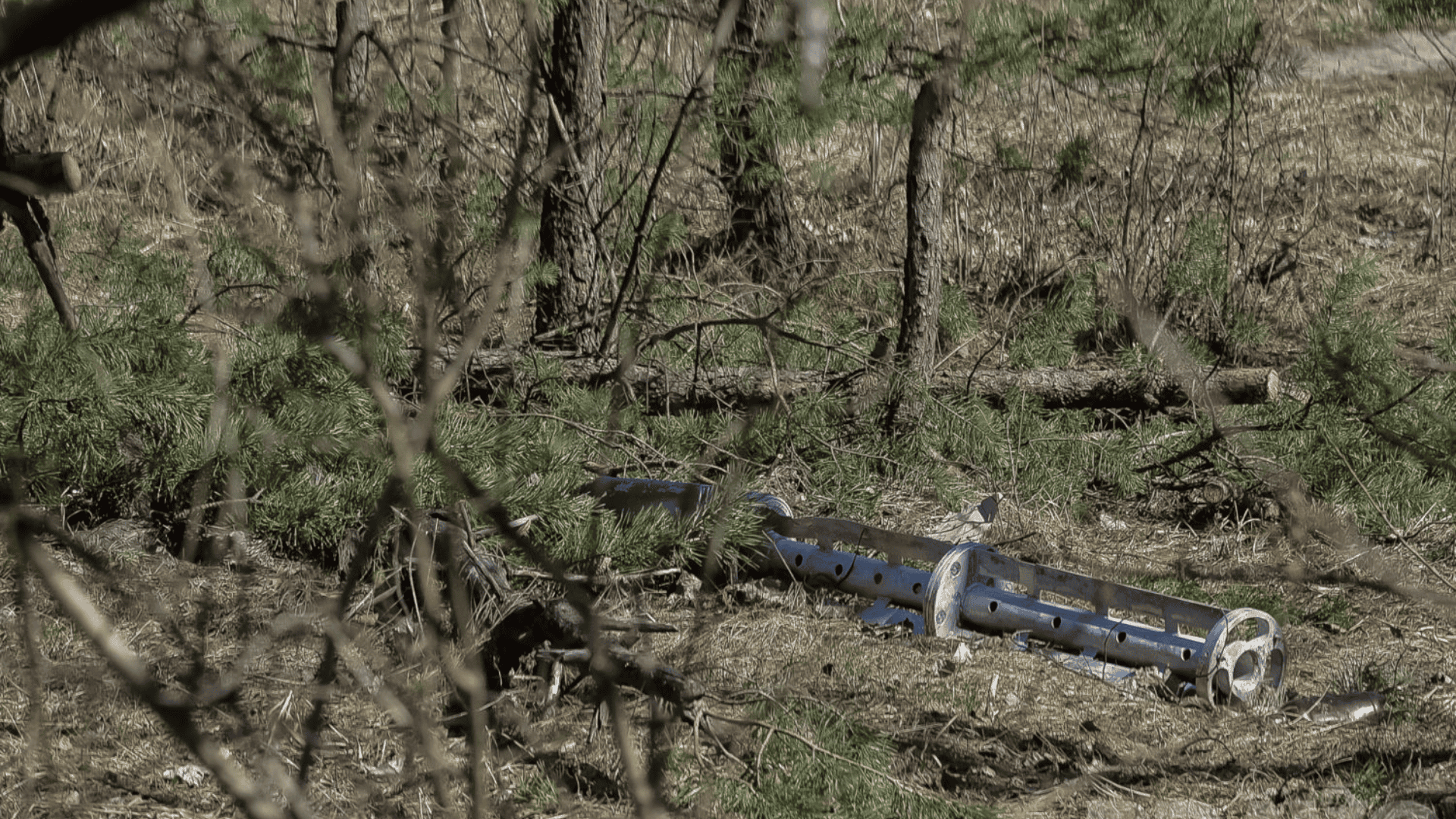 Натисни щоб дізнатись більше про: 1,5 млрд гривень – збитки природно-заповідному фонду Запорізької області від повномасштабного вторгнення росії