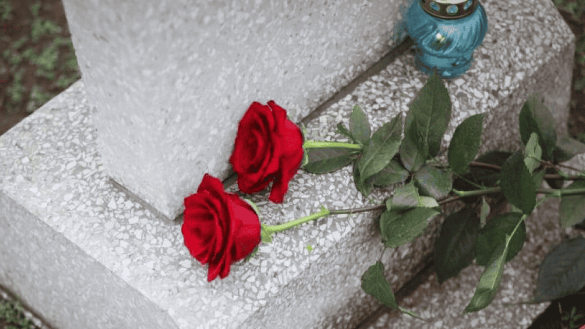 Зображення по темі: 