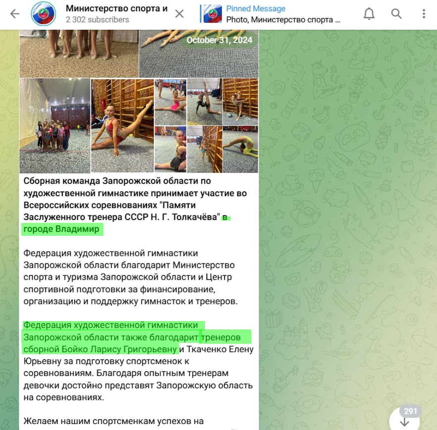 Бойко Лариса Григорівна мелітополь колаборантка тренер художня гімнастика