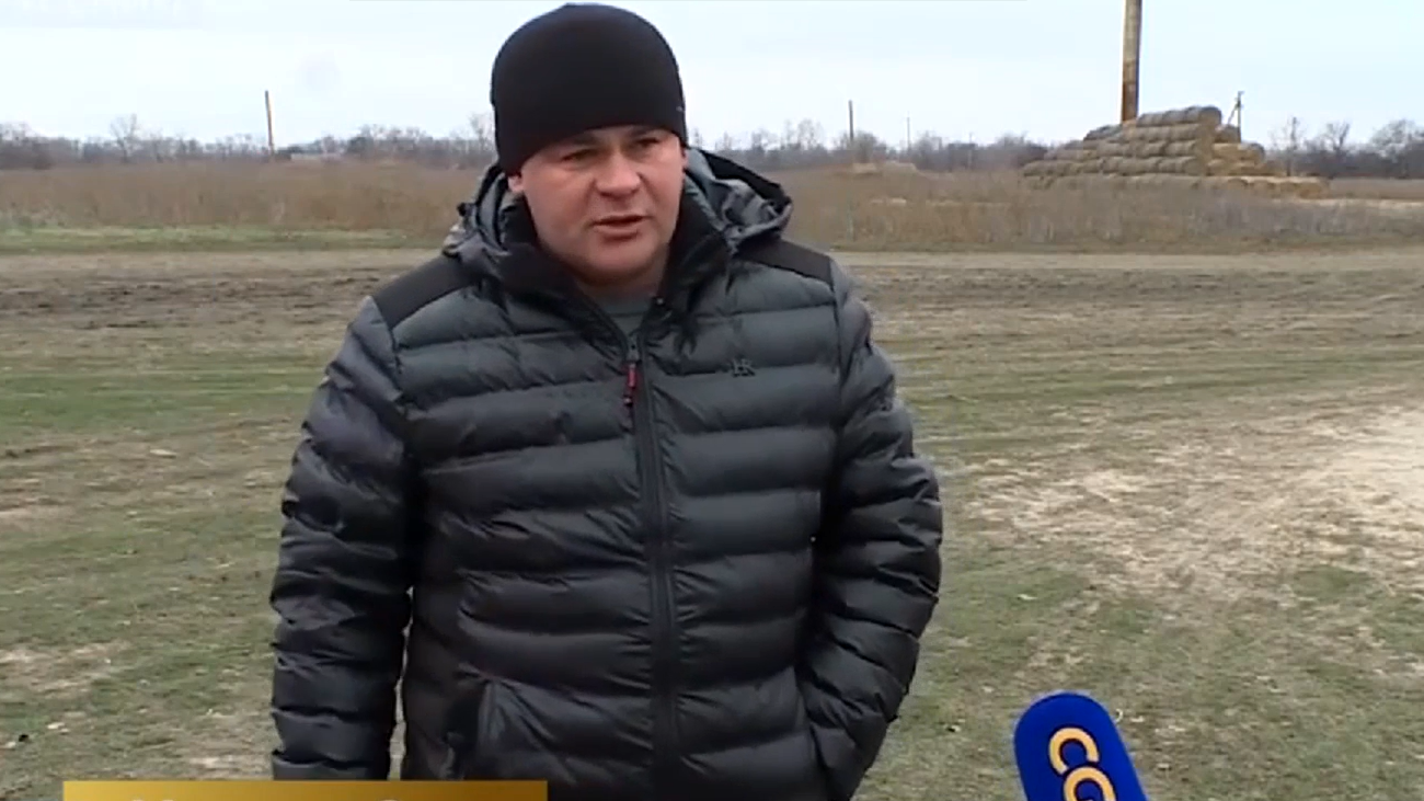 Натисни щоб дізнатись більше про: Don’t push the horses: що приховують декларації директора запорізького державного кінного заводу Михайла Сича