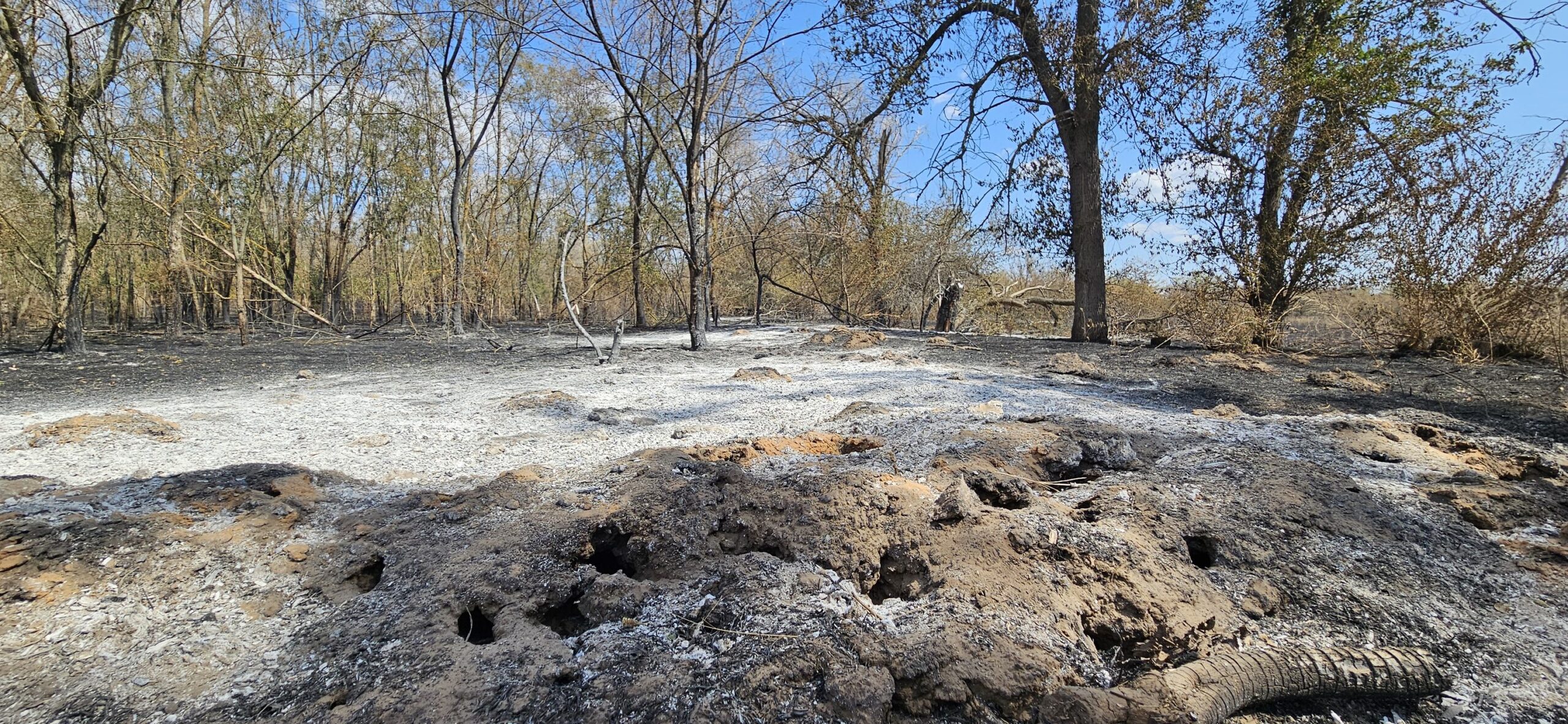 заповідник хортиця пожежі