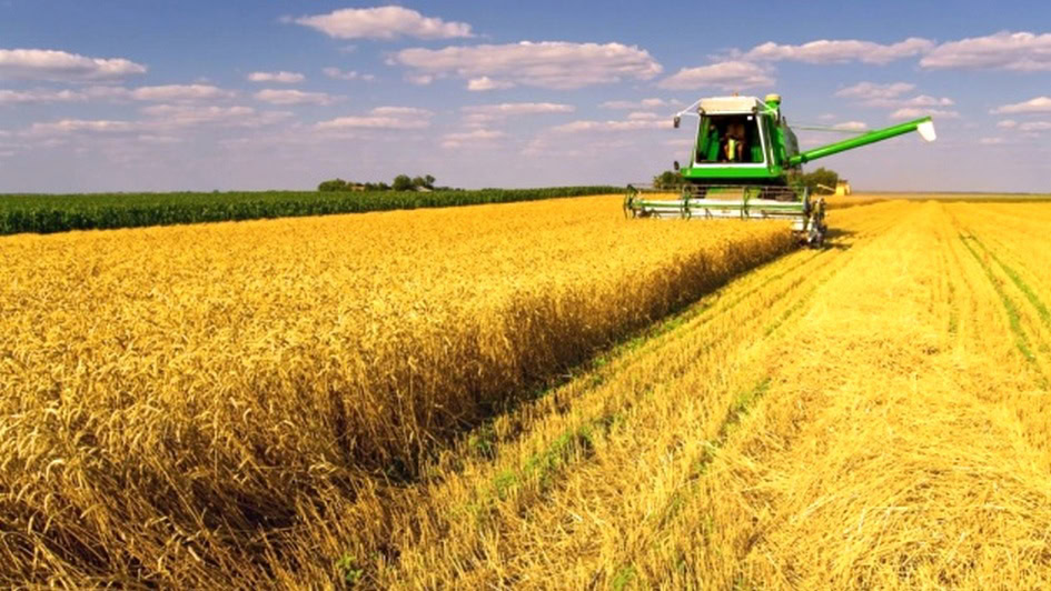 Зображення по темі: 