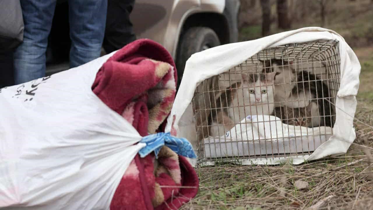 Евакуація, Гуляйполе