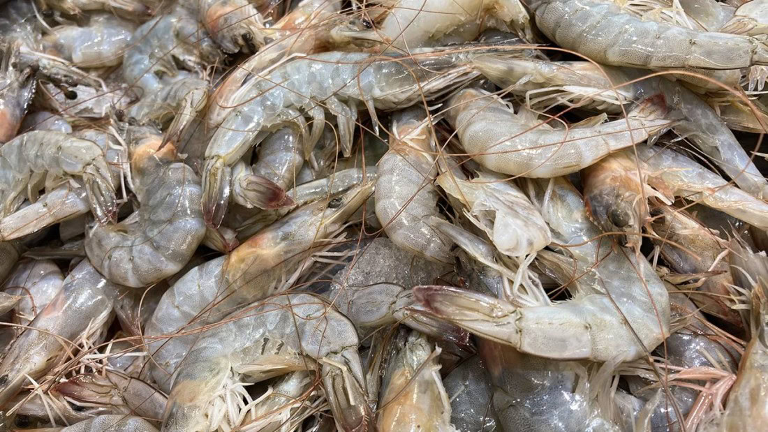 Креветка Азовське море Бердянська атока