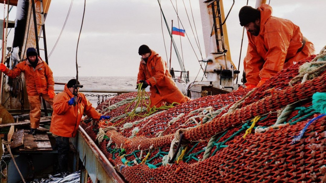Росіяни грабують Азовське море