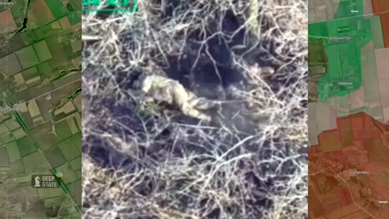 Натисни щоб дізнатись більше про: Правоохоронці почали розслідування розстрілу українських військовополонених на Гуляйпільському напрямку