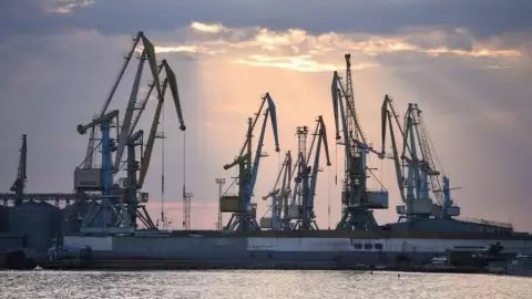 Бердянський порт, інвестор, Ворона