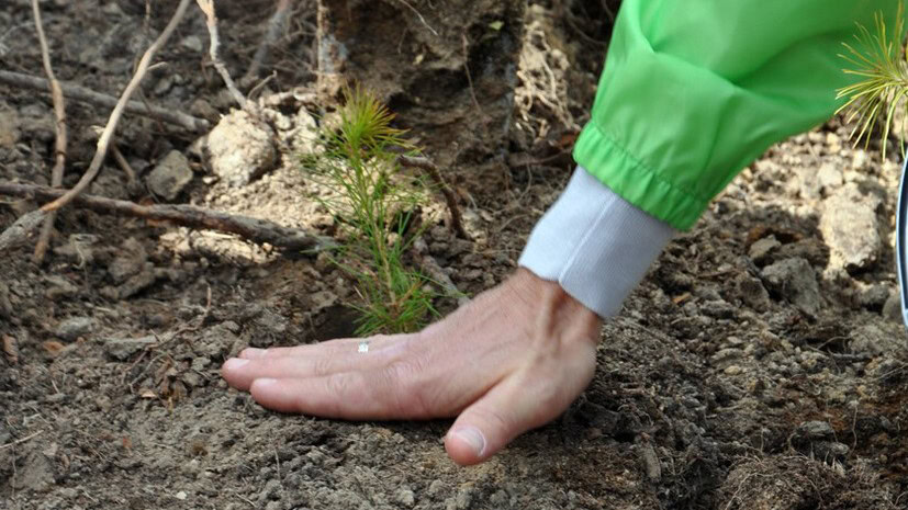 Натисни щоб дізнатись більше про: Тепер і водорості: черговий напрям екоциду на окупованій території Запорізької області