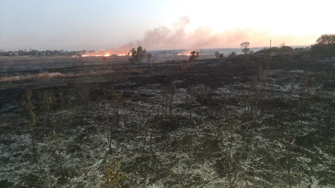 екоцид запорізька область повномасштабне вторгнення