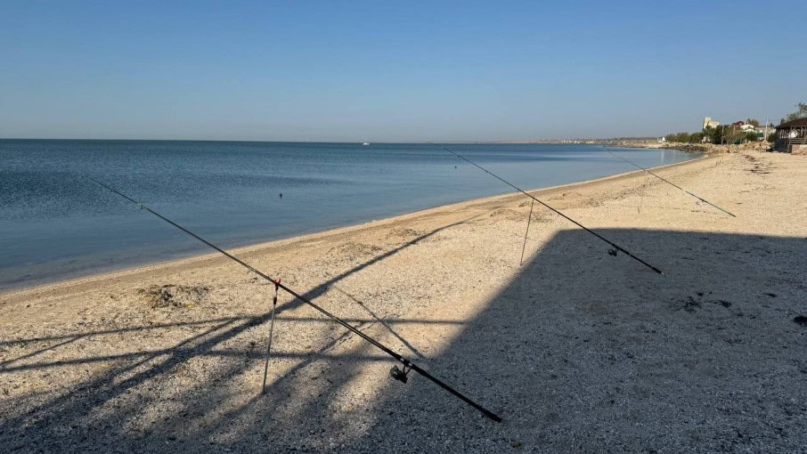 Скорочення запасів риби в Азовському морі