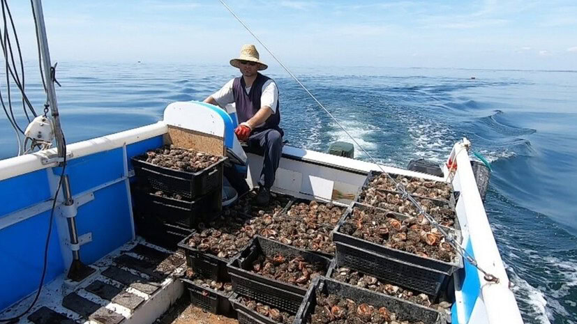 Вилов окупантами креветки в Азовському морі